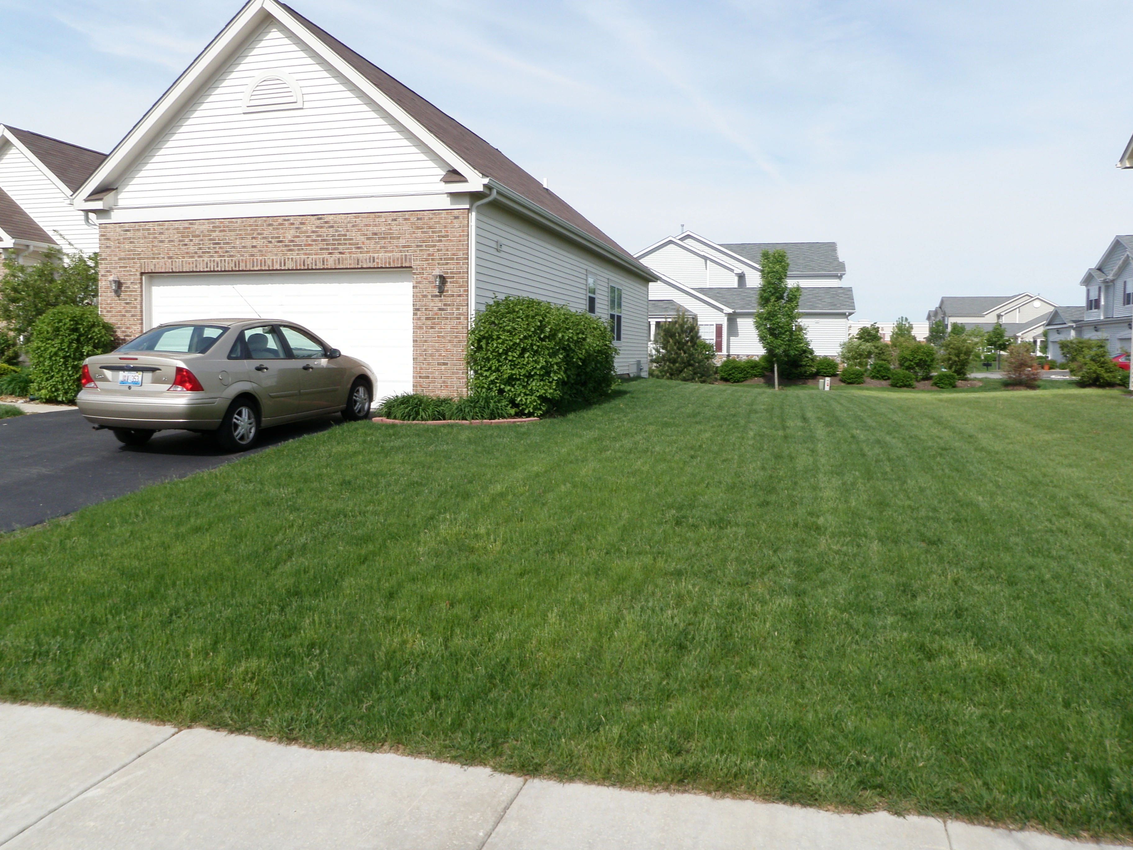 side yard with green grass