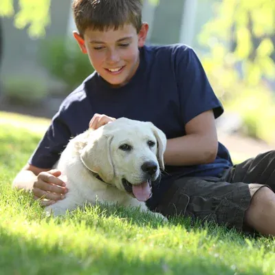 boy playing with dog outside in front yard