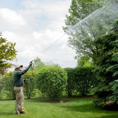 technician spraying a tree