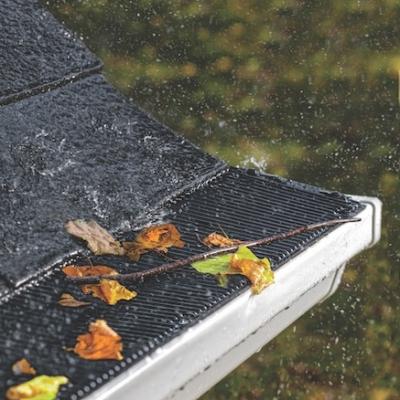 rain