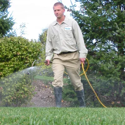 spraying lawn