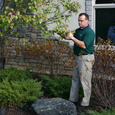 technician inspecting trees