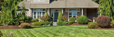 green lawn
