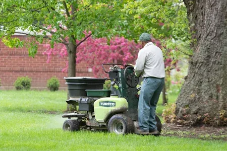 fertilizing lawn