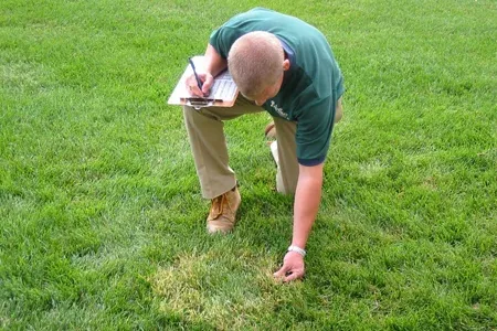 technician inspecting lawn