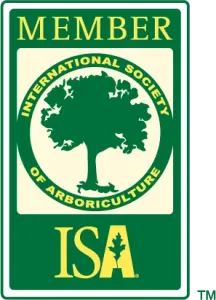 ISA Member logo