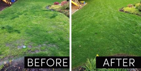 Before and After results of our unique liquid aeration process