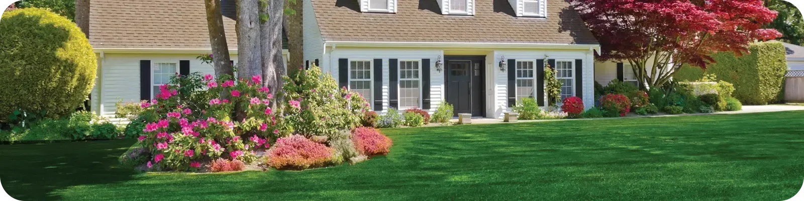 house and yard