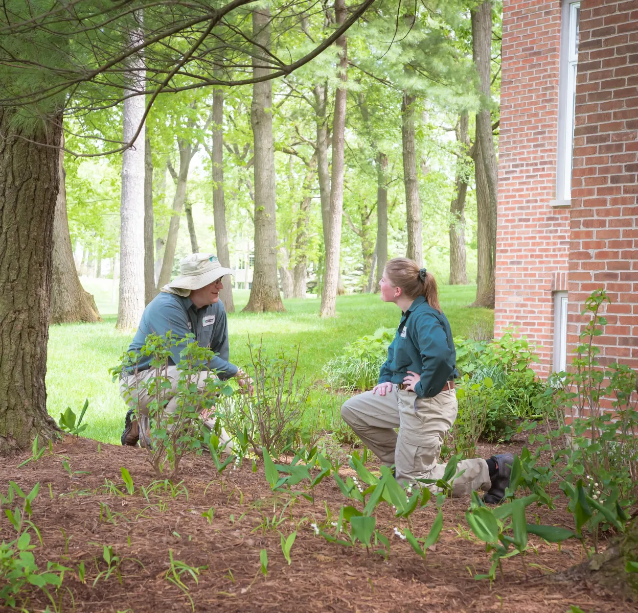 kneeling-techs-shrubs