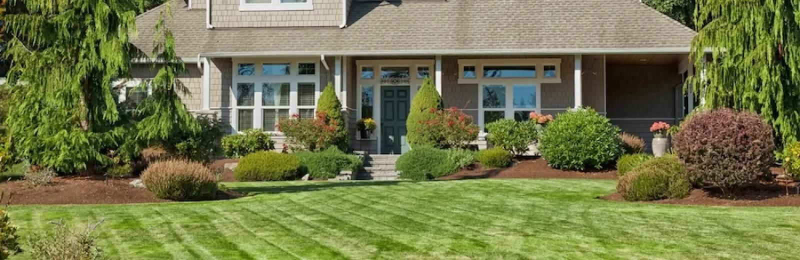 green lawn