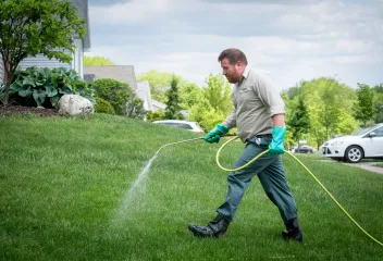 technician spraying the yard