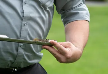 technician checking soil sample