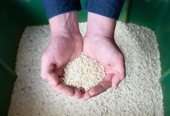 hands