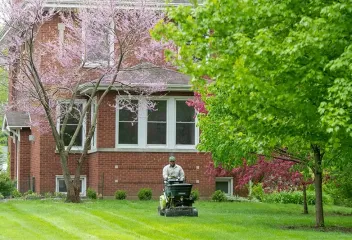 turf care
