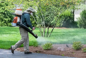 spraying