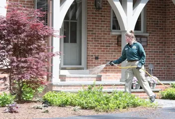 spraying
