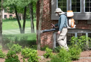 spraying trees and shrubs for ticks and mosquitoes