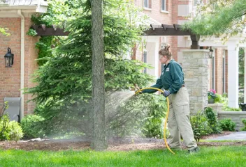 tech spraying trees