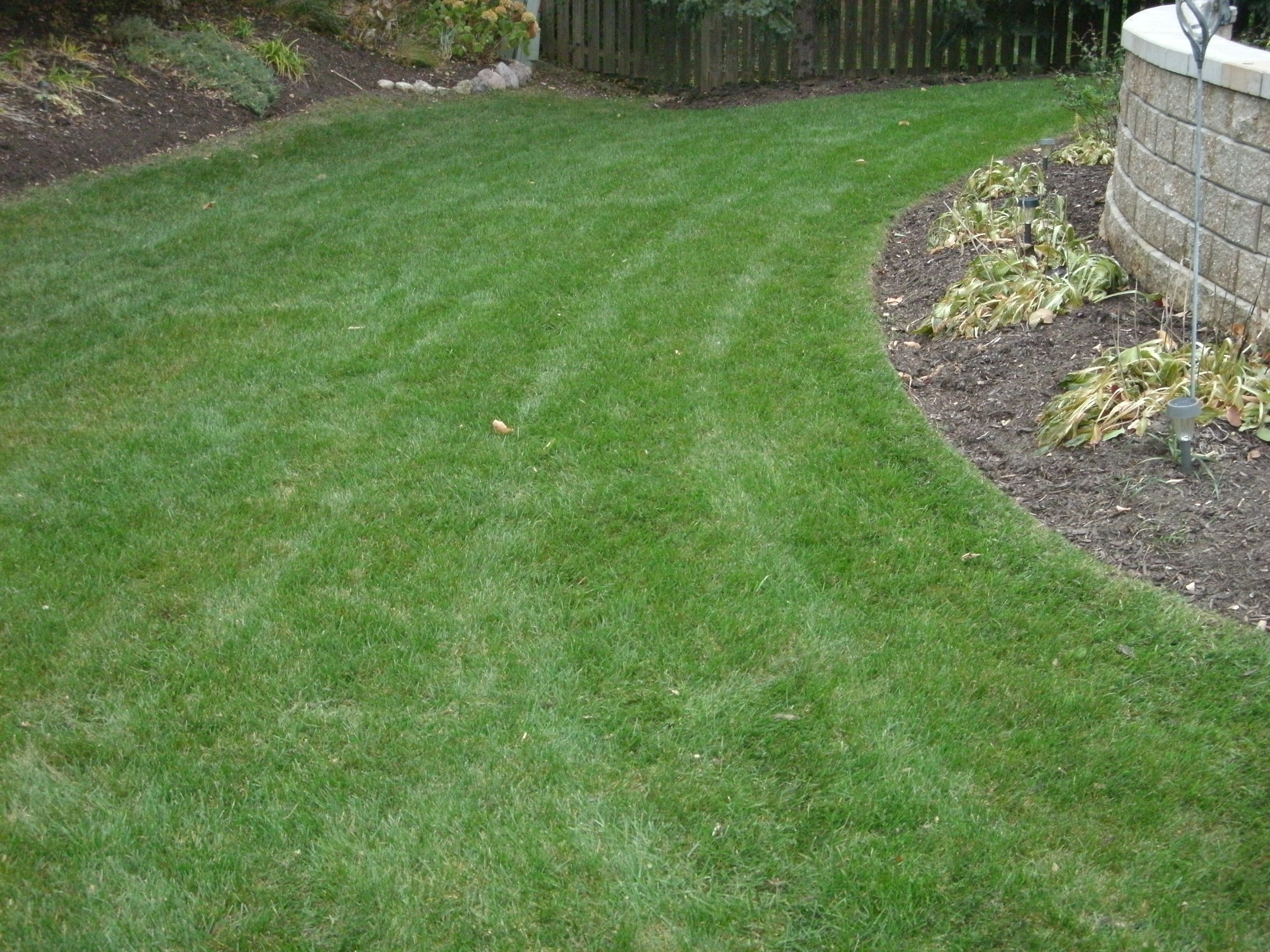 green side yard
