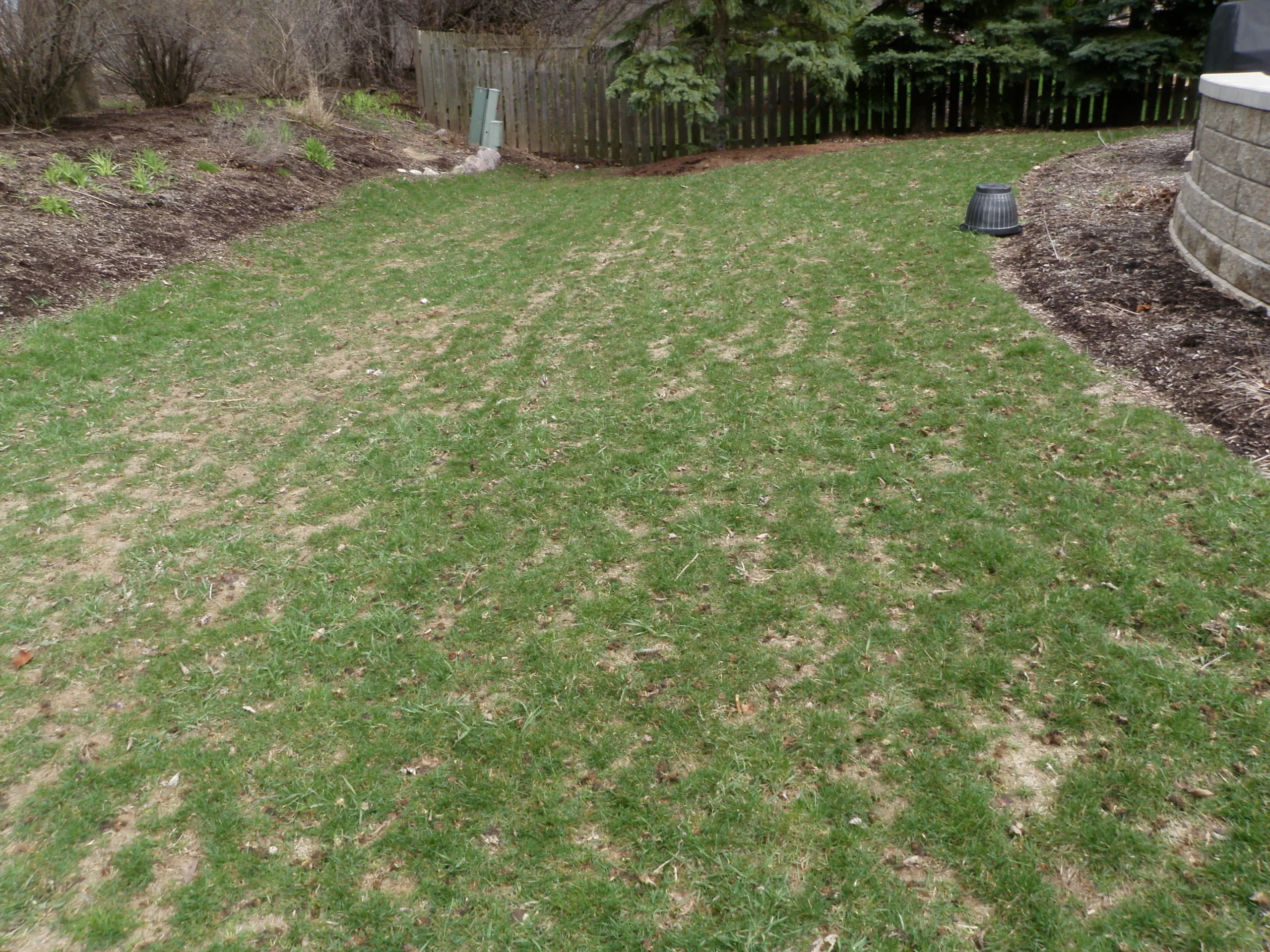 side yard with brown patches