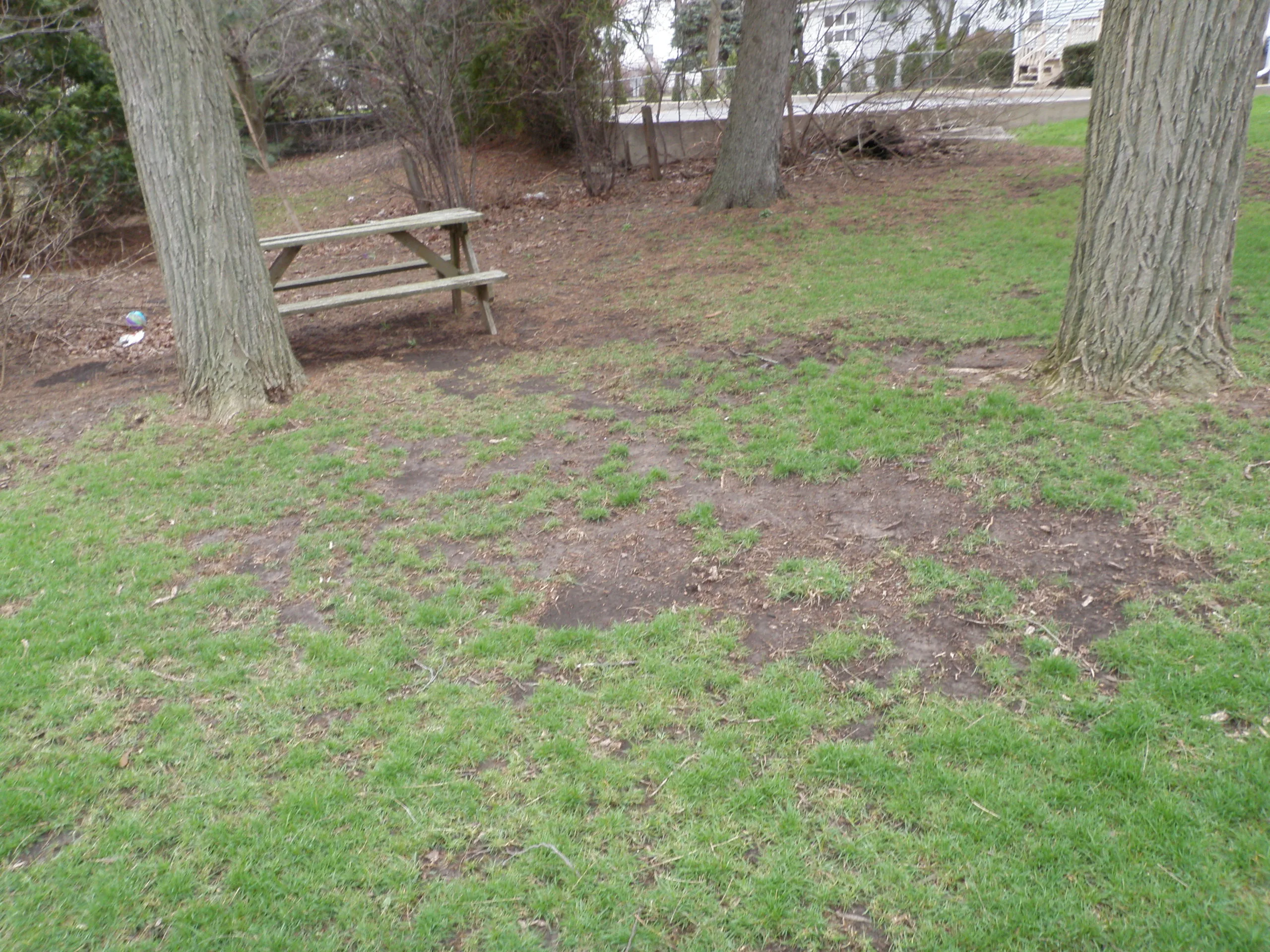 BACKYARD WITH DEAD GRASS
