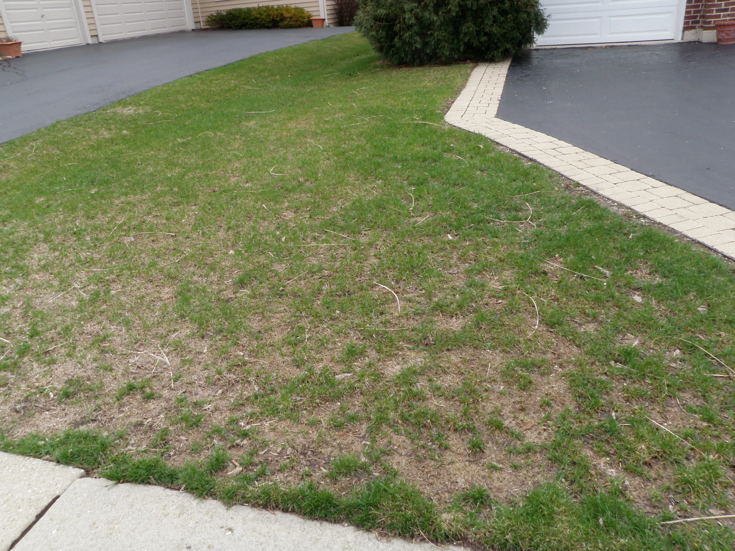 front yard with brown patches