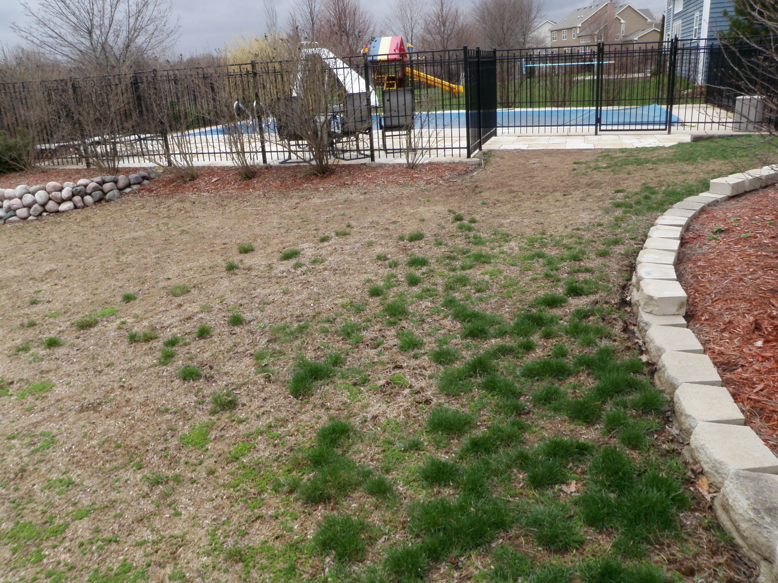 backyard before image