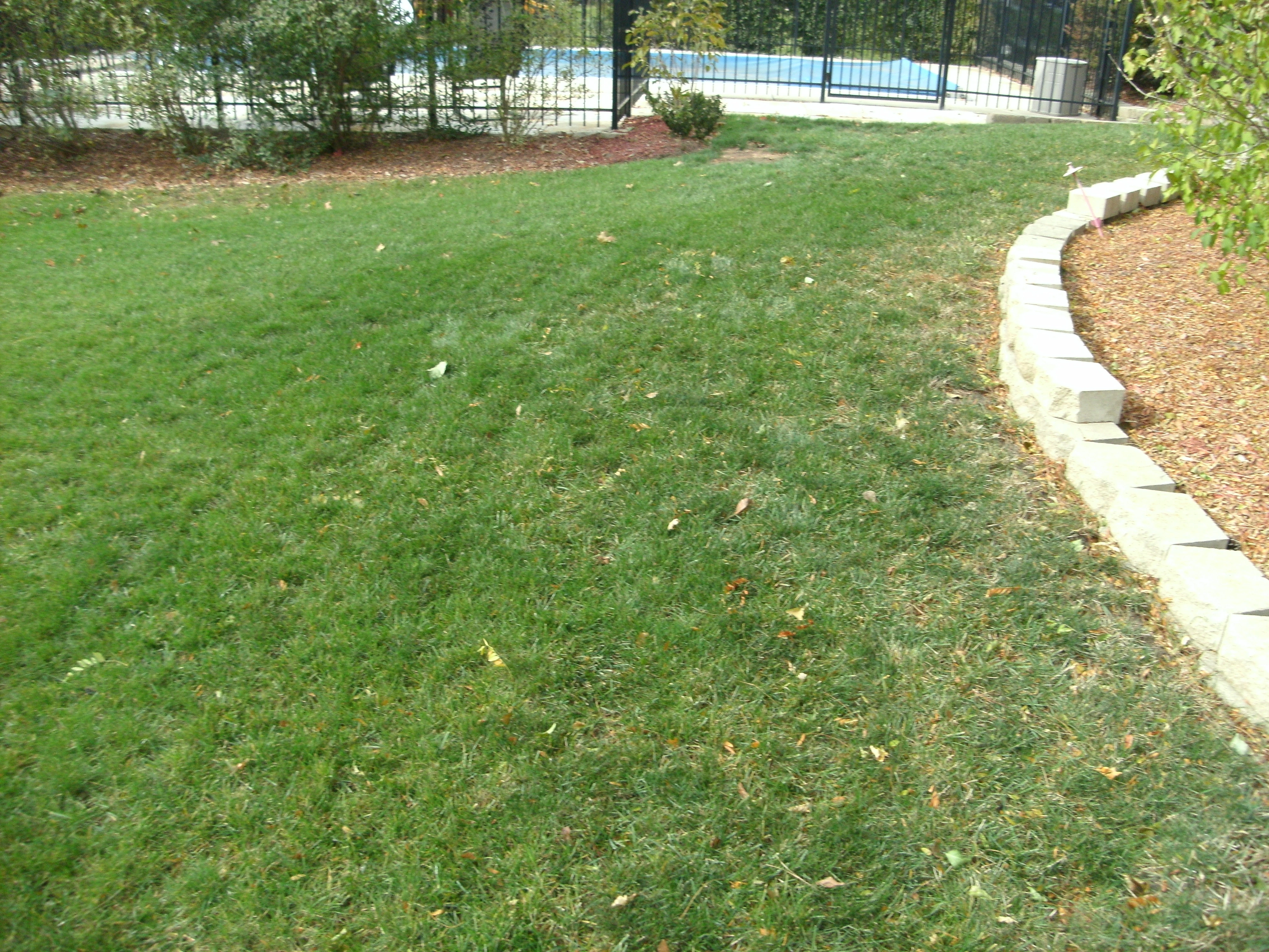 backyard after image