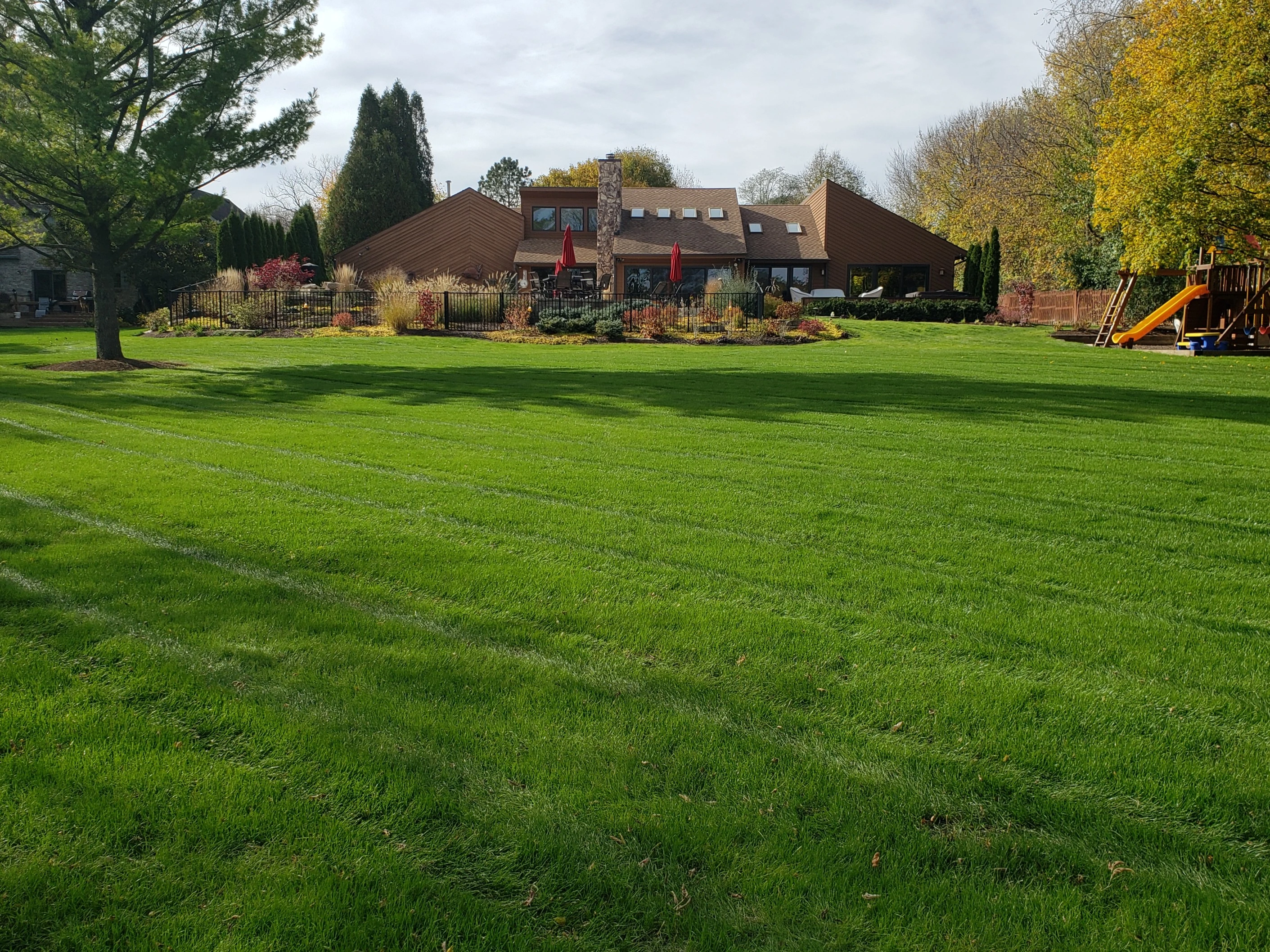 back yard after fertilization