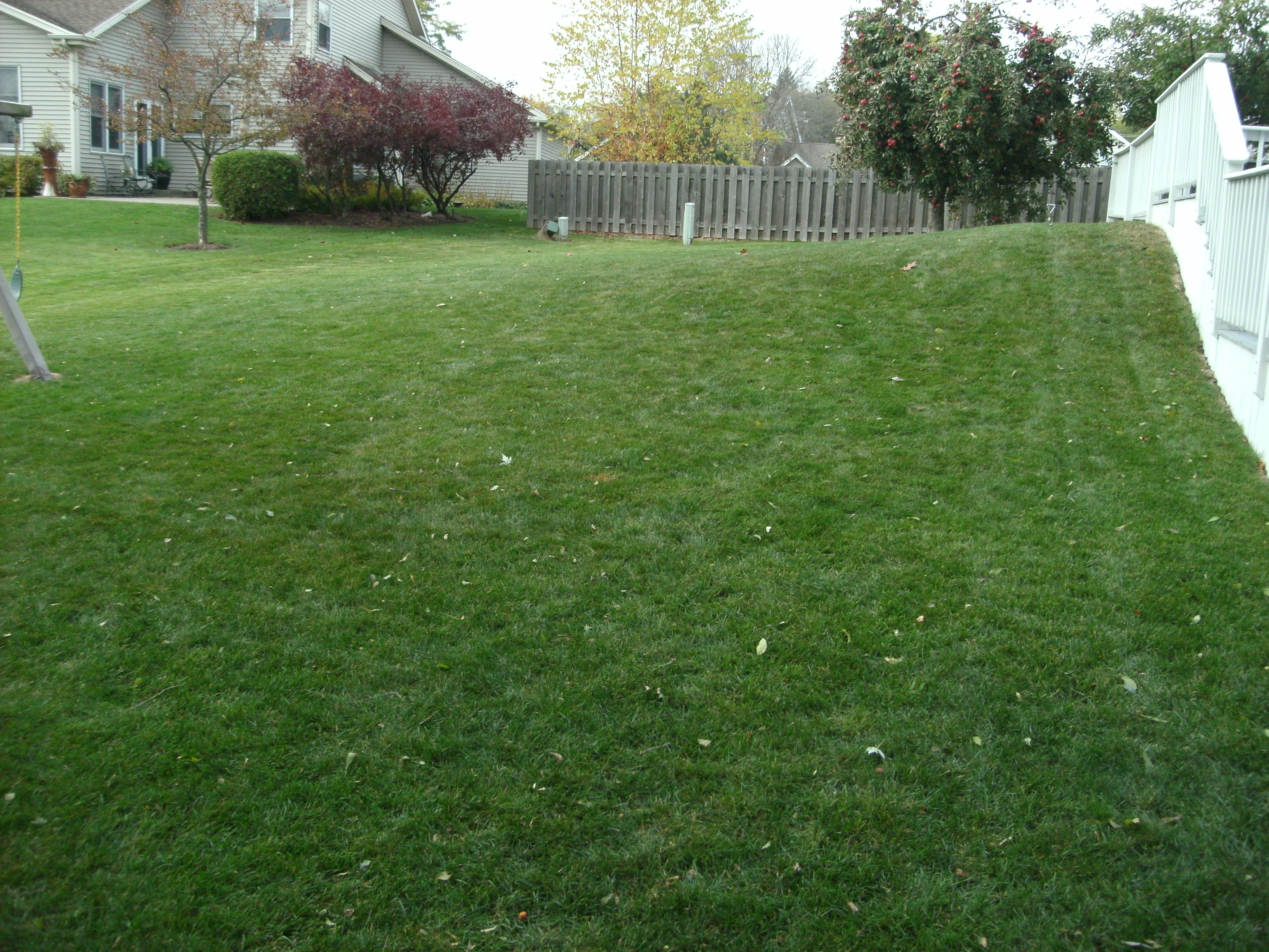 Side yard with green grass