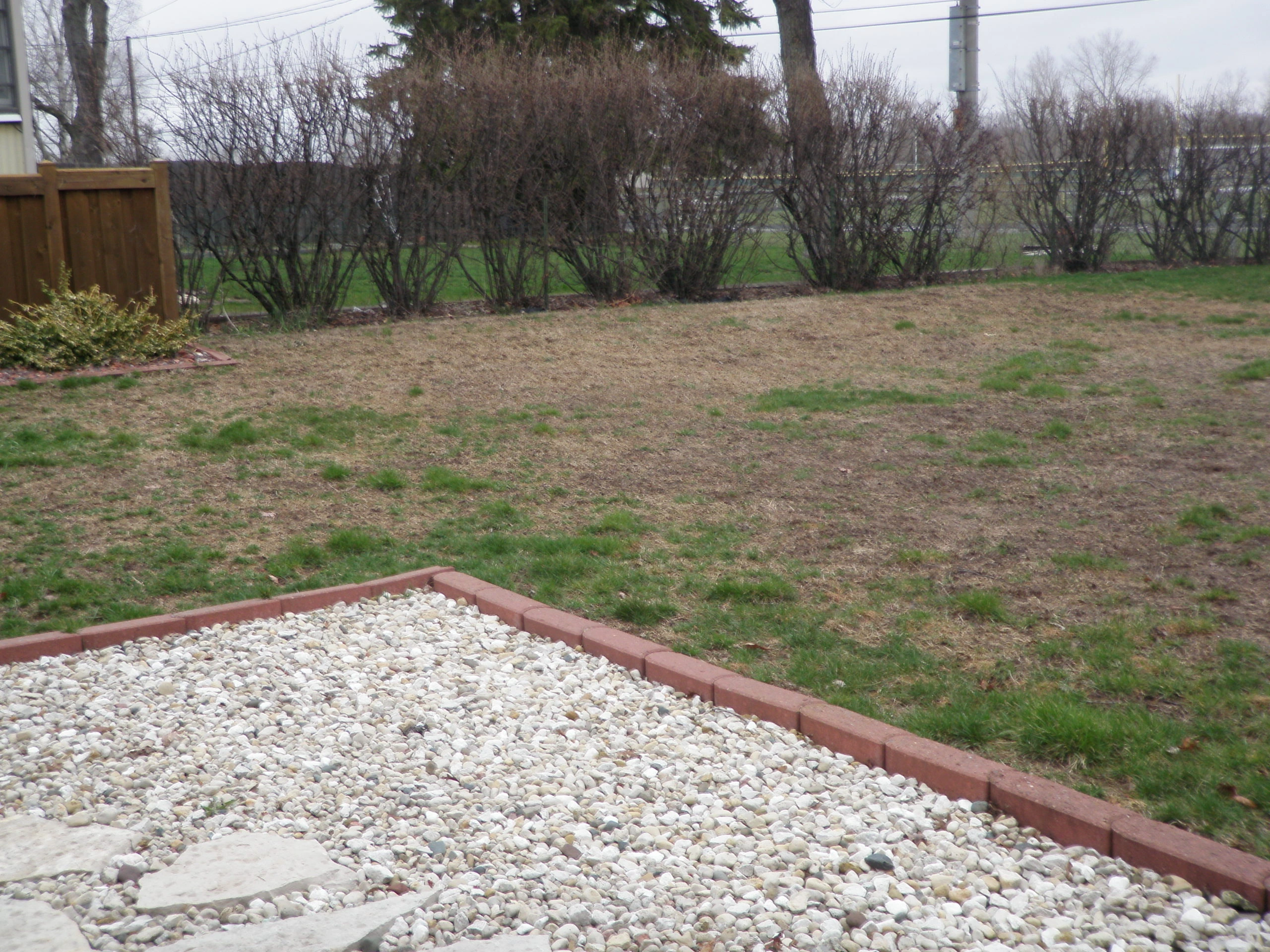 back yard before applications