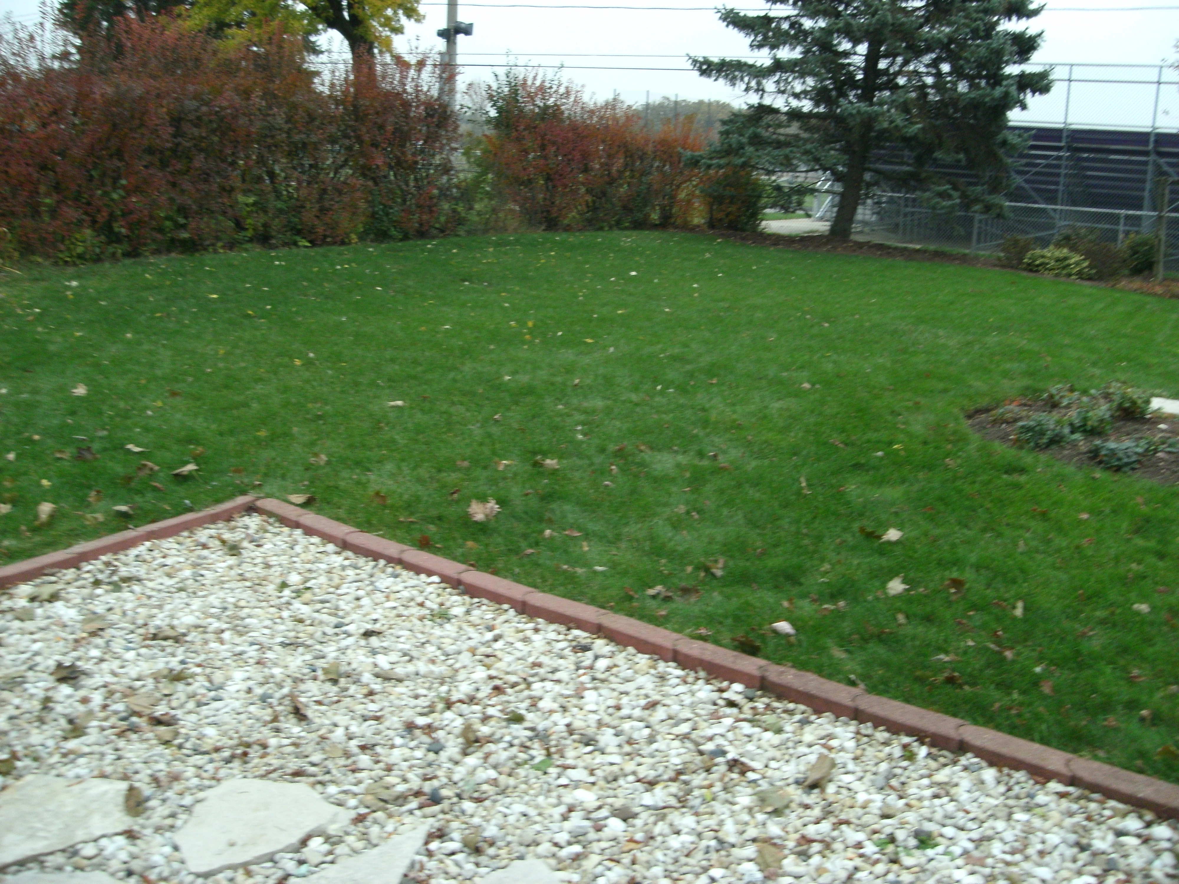 back yard after applications