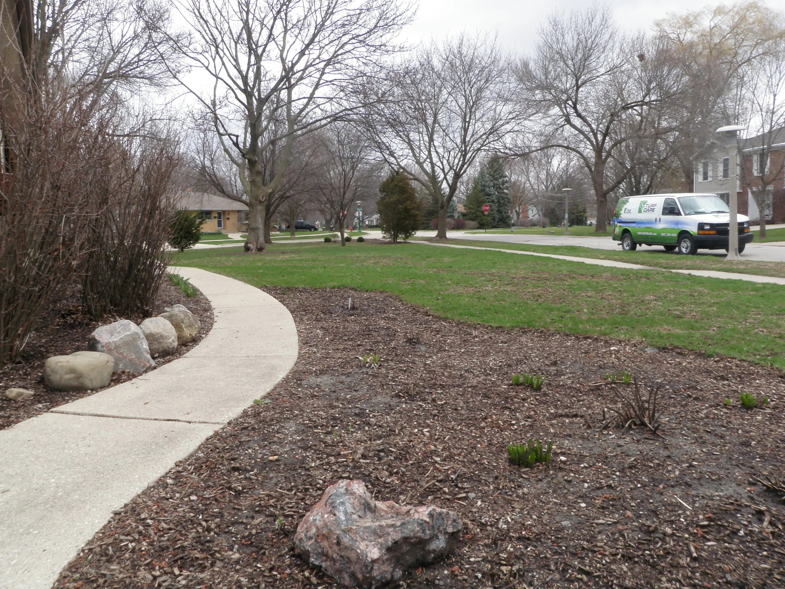 front yard before