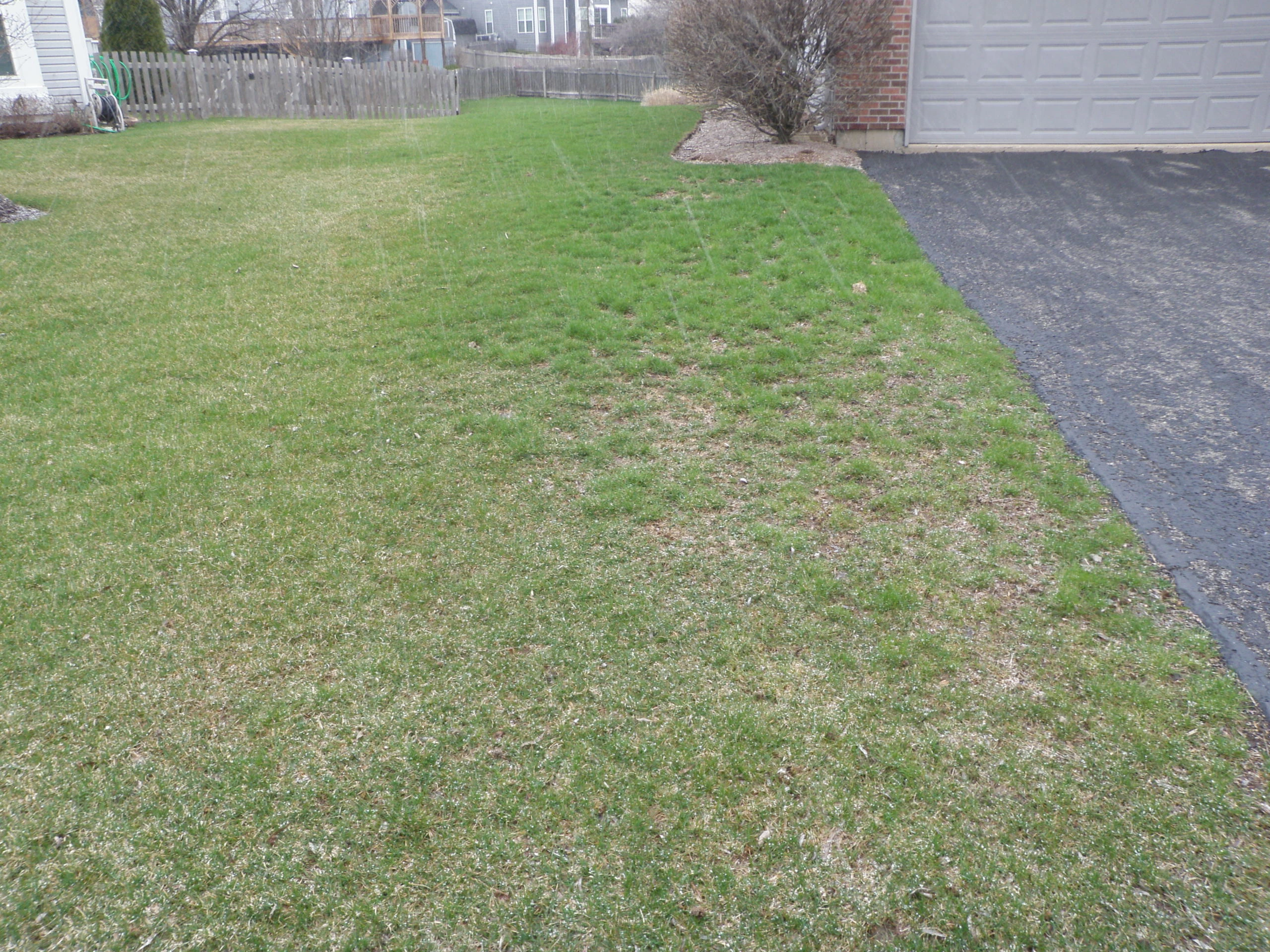 DRIVEWAY WITH BROWN PATCHES