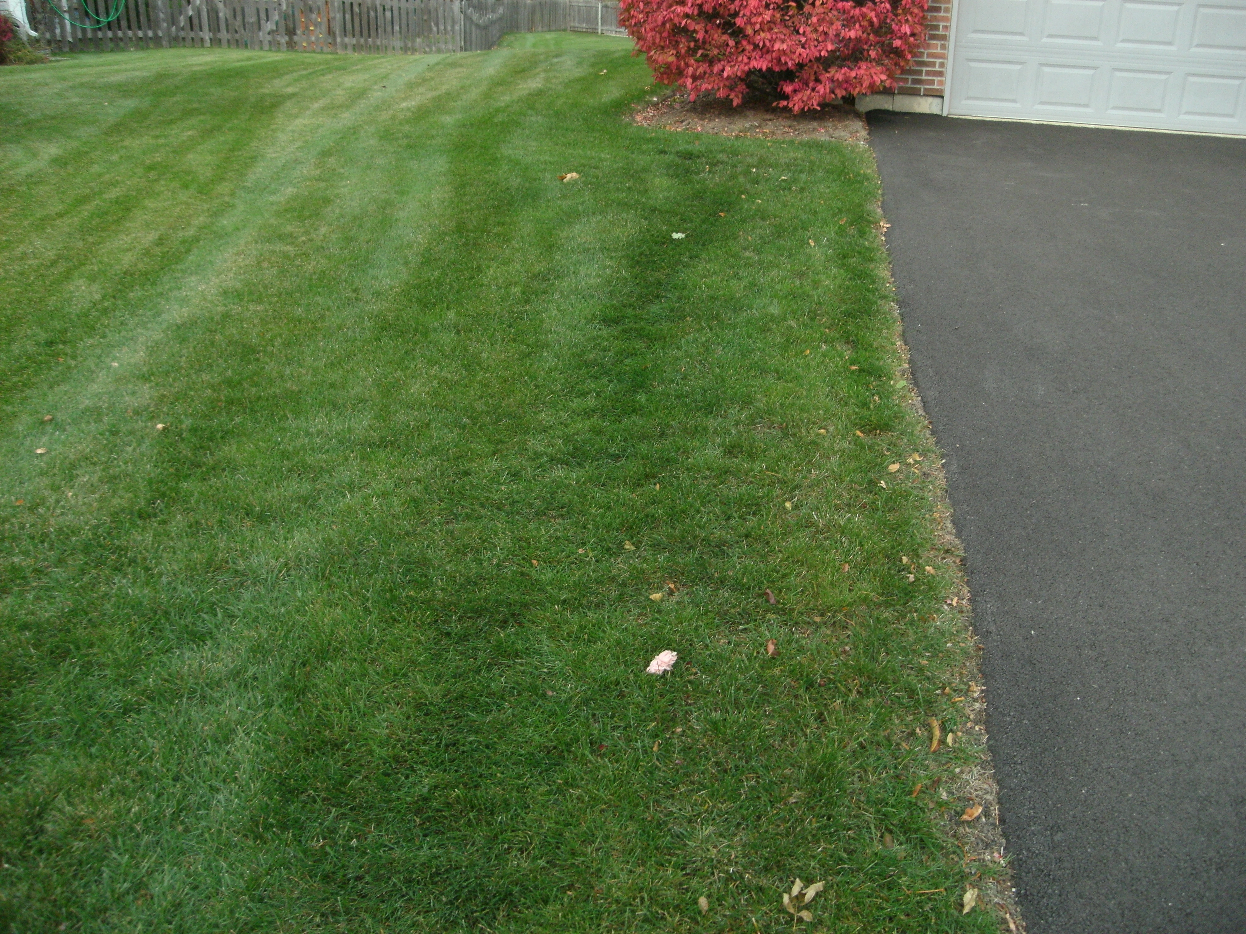 DRIVE WAY WITH GREEN LAWN