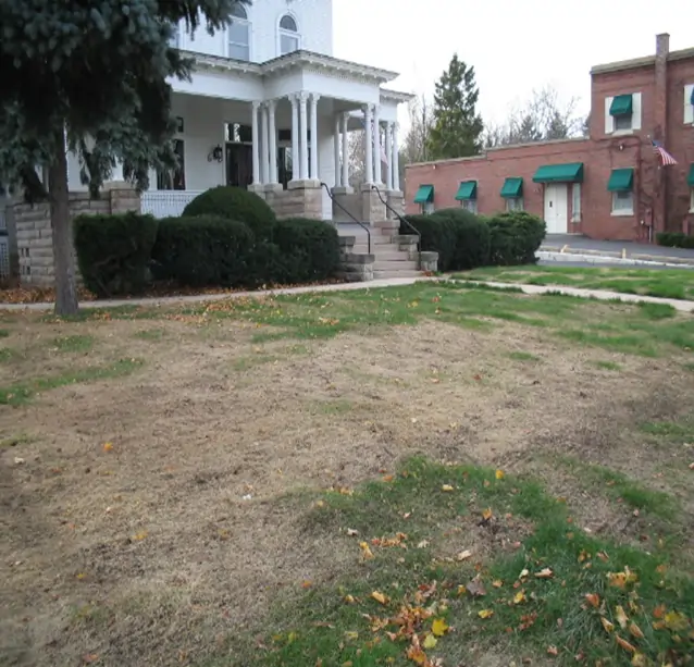 front of business with brown lawn