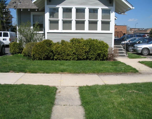 front yard after application