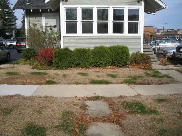 front yard before application