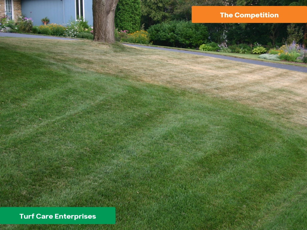 tce-vs-competition-1