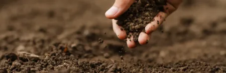 soil test