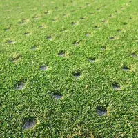 a lawn thats been aerated