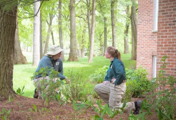 kneeling-techs-shrubs