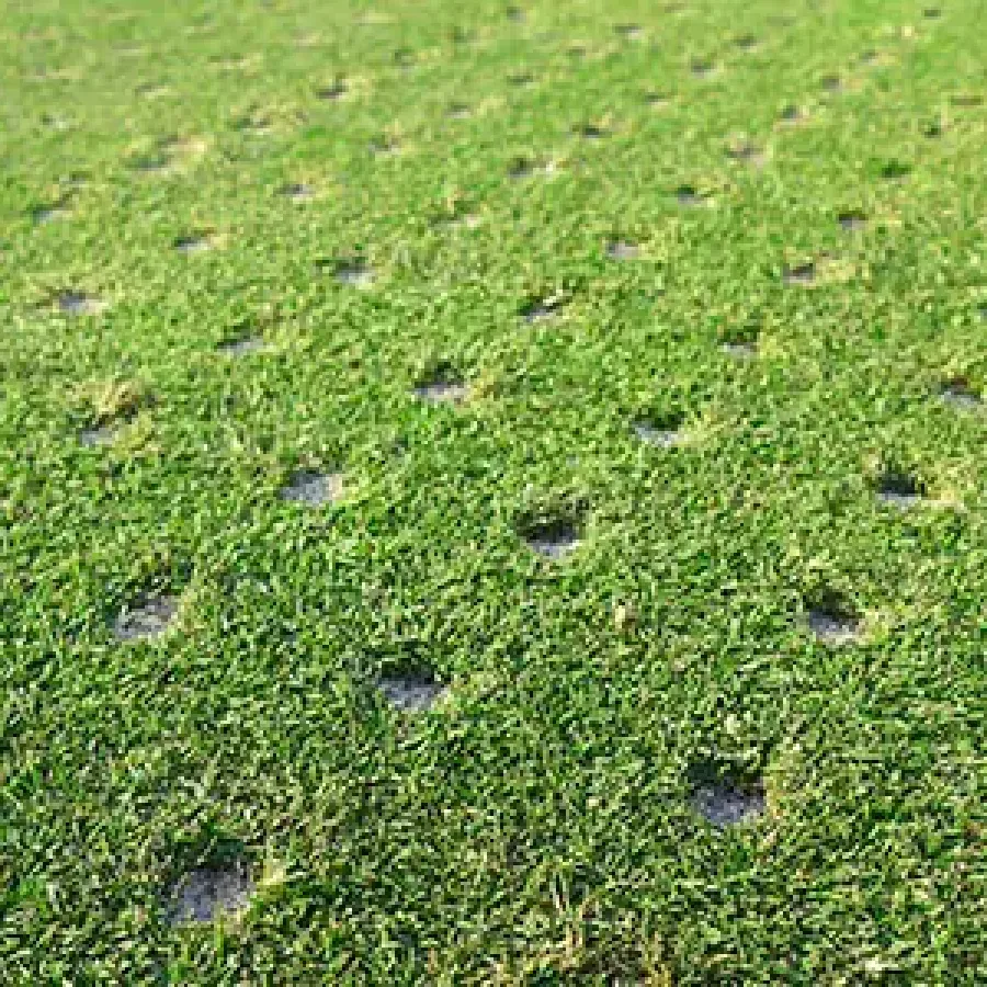 a lawn thats been aerated
