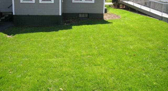 palatine lawn care services