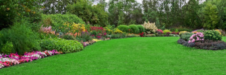 How To Get the Most Out of Our Lawn Care Services